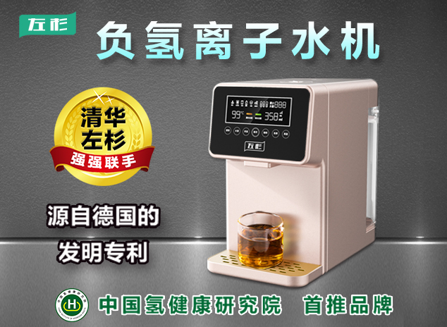 负氢离子家用机